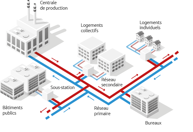 Schema Réseau de Chaleur et de Froid